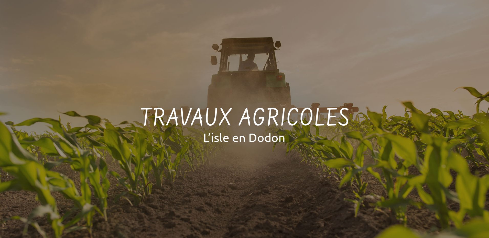 Aménagement et entretien terrain agricole à L'isle en Dodon